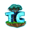 Server favicon of play.togethercraft.online