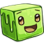 Server favicon of slimeventure.com