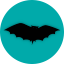 Server favicon of chiropterra.de