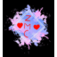 Server favicon of zarothmc.de