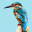 Server favicon of pha.moe