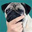 Server favicon of 2b2t.minewind.com