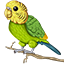 Server favicon of hub.budgienet.com