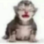 Server favicon of 54.39.122.232:25577