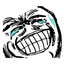 Server favicon of skyrim-mc.net