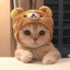 Server favicon of eu.catpvp.xyz