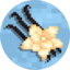 Server favicon of vanillarealms.com
