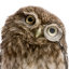 Server favicon of 188.68.49.130