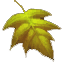 Server favicon of 95.31.2.242:25570
