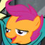 Server favicon of twwom.net